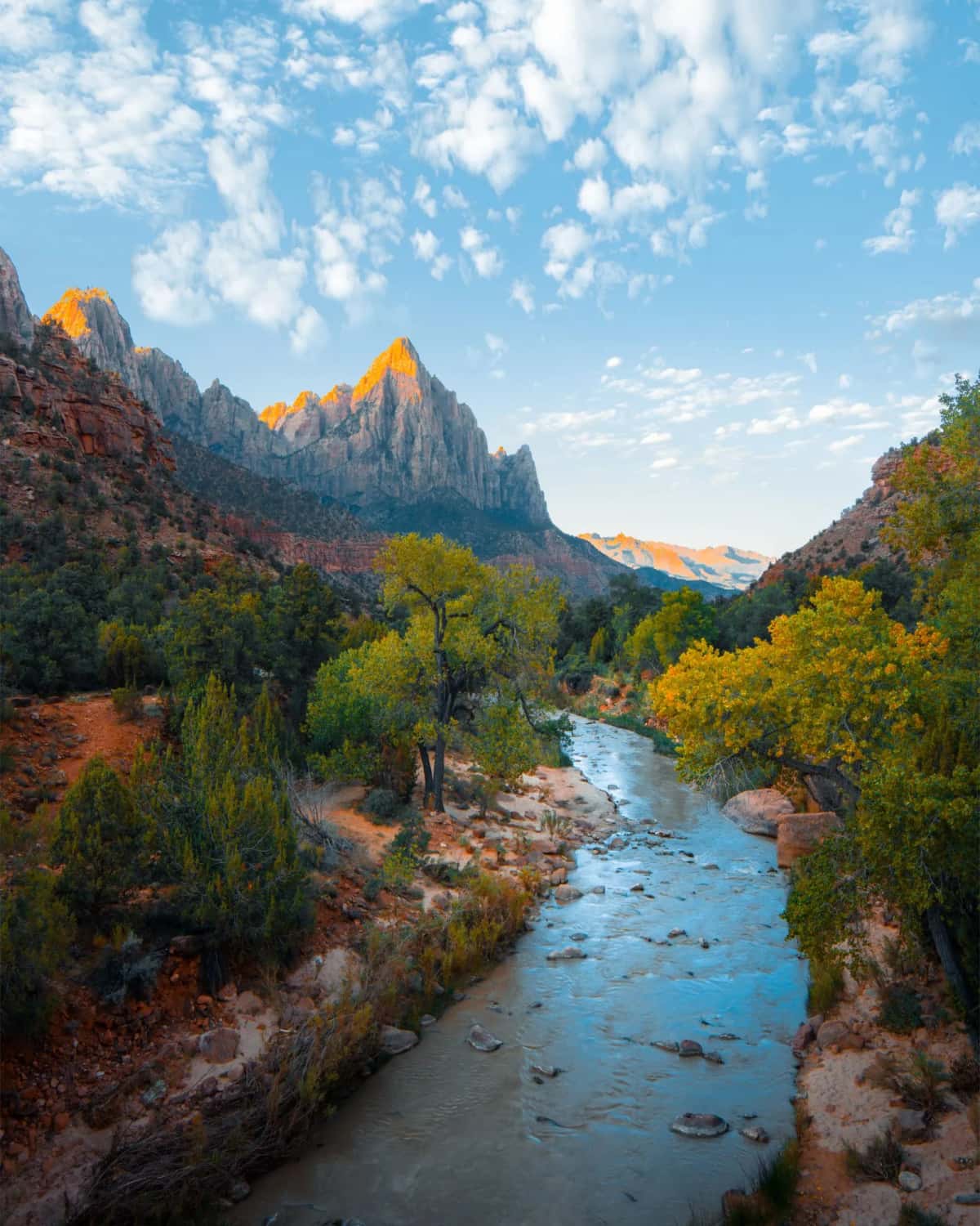 Vallée de la rivière Çoruh à Artvin avec gorges profondes et végétation luxuriante